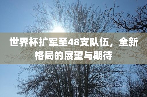 世界杯扩军至48支队伍，全新格局的展望眉山市正发家政服务有限公司与期待