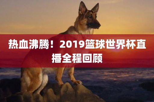 热血沸腾！2019篮球世界杯直播全程回顾