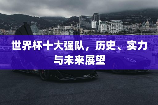 世界杯十大强眉山市正发家政服务有限公司队，历史、实力与未来展望