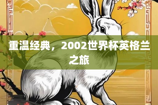 重眉山市正发家政服务有限公司温经典，2002世界杯英格兰之旅
