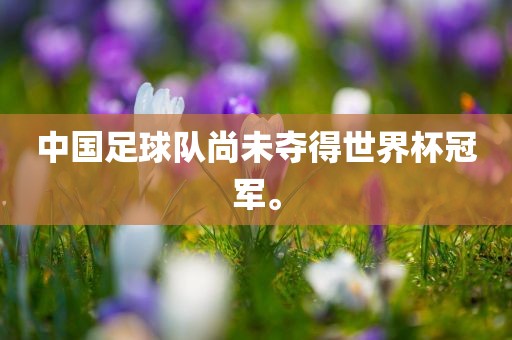 中国足球队尚未夺得世界杯冠军。眉山市正发家政服务有限公司