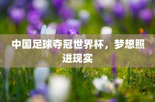 中国足球夺冠世界杯，梦想照进现实