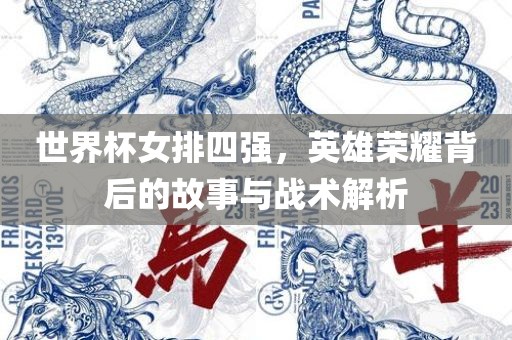 世界杯女排四强，英雄荣耀背后的故事与战术解析