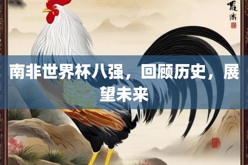 南非世界杯八强，回顾历史，展望未来眉山市正发家政服务有限公司