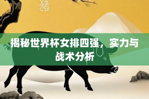 揭秘世界杯女排四强，实力与战术分析眉山市正发家政服务有限公司