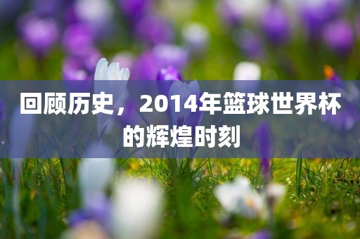 回顾历史，2014年篮球世界杯眉山市正发家政服务有限公司的辉煌时刻