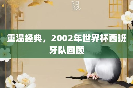 重温经典，200眉山市正发家政服务有限公司2年世界杯西班牙队回顾