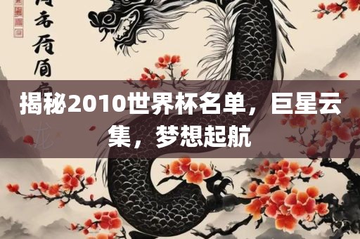 揭秘2010世界杯名单，巨星云集，梦想起航