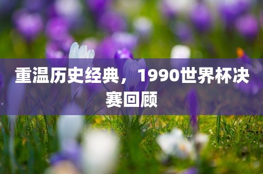 重温历史经典，1990世界杯决赛回顾眉山市正发家政服务有限公司