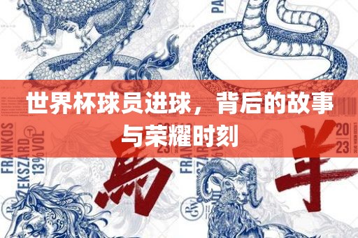 世界杯球员进球，背后的故事与荣耀时刻眉山市正发家政服务有限公司