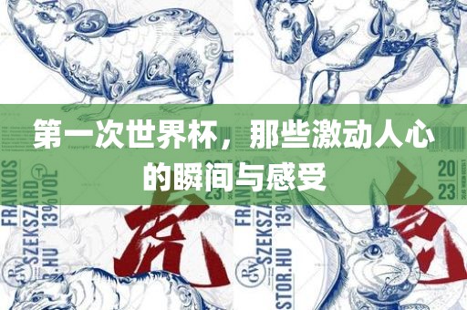 第一次世界杯，那些激动人心的瞬间与感受眉山市正发家政服务有限公司