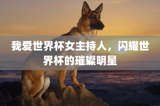 我爱世界杯女主持人，闪耀世界杯的璀璨明星