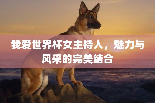 我爱世界杯女主眉山市正发家政服务有限公司持人，魅力与风采的完美结合