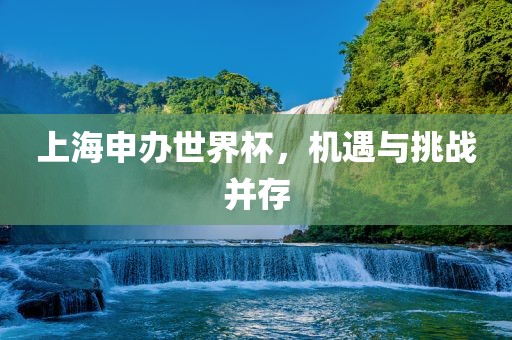 上海申办世界杯，机遇与挑战并存