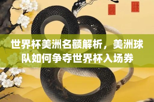 世界杯美洲名额解析，美洲球队如何争夺世界杯入场券眉山市正发家政服务有限公司
