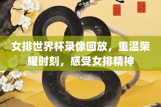 女排世界杯录像回放，重温荣耀时刻，感受女排精神