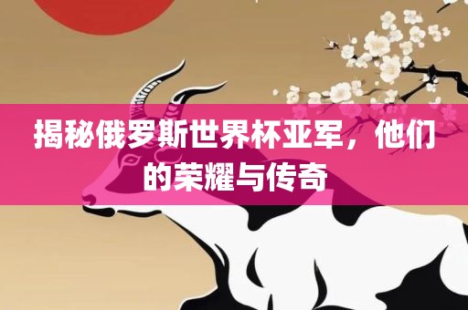 揭秘俄罗斯世界杯亚军，他们的荣耀与传奇眉山市正发家政服务有限公司