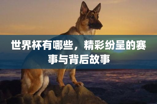 世界杯有哪些，精彩纷呈的赛事与背后故事眉山市正发家政服务有限公司