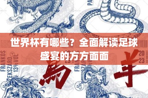 世界杯有哪些？全面解读足球盛宴的方方面面