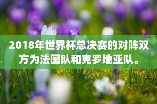 眉山市正发家政服务有限公司2018年世界杯总决赛的对阵双方为法国队和克罗地亚队。