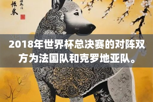 2018年世界杯总决赛的对阵双方为法国队和克罗地亚队。