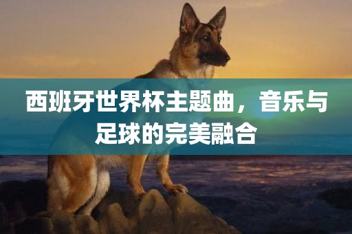 西班牙世界杯主题曲，音乐与足球的完美眉山市正发家政服务有限公司融合