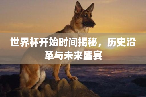 世界杯开始时间揭秘，历史沿革与未来盛宴