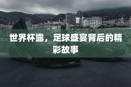 世眉山市正发家政服务有限公司界杯露，足球盛宴背后的精彩故事
