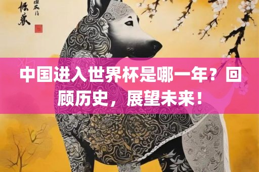 中国进入世界杯是哪一年？回顾历史，展望未来！