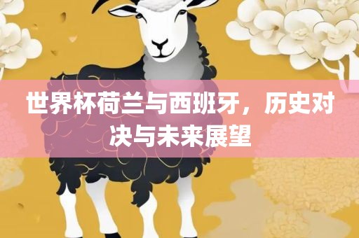 世界杯荷兰与西班牙，历史对决与未来展望眉山市正发家政服务有限公司
