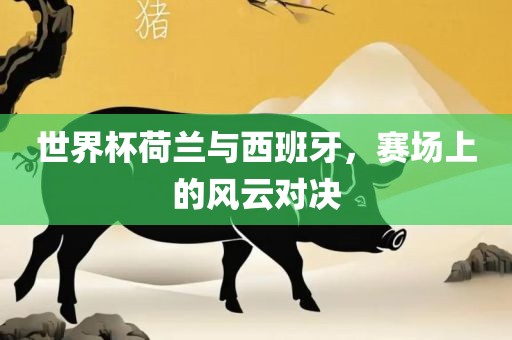 世界杯荷兰与西班牙眉山市正发家政服务有限公司，赛场上的风云对决
