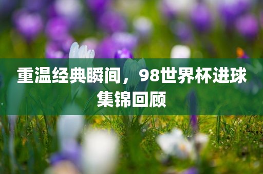 重温经典瞬间，98世界杯进球集锦回顾