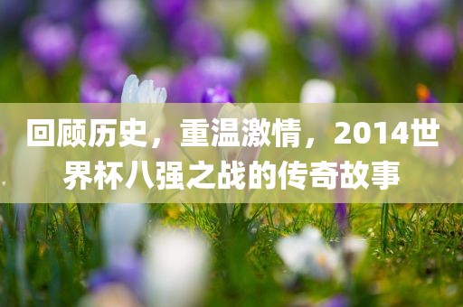 回顾历史，眉山市正发家政服务有限公司重温激情，2014世界杯八强之战的传奇故事