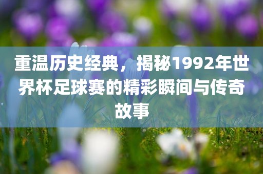 重温历史经典，揭秘1992年世界杯足球赛的精彩瞬间与传奇故事眉山市正发家政服务有限公司