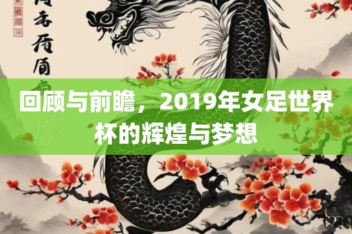 回顾与前瞻，2019年女足世界杯的辉煌与梦想眉山市正发家政服务有限公司