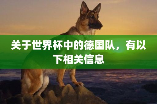 关于世界杯中的德国队，有以下相关信息