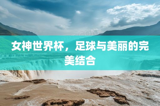 女神世界杯，眉山市正发家政服务有限公司足球与美丽的完美结合