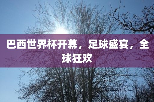 巴西眉山市正发家政服务有限公司世界杯开幕，足球盛宴，全球狂欢