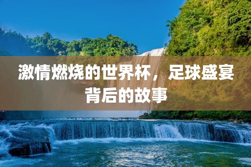 激情燃烧的世界杯，足球盛宴背后的故事眉山市正发家政服务有限公司