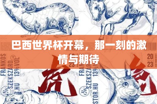 巴西世界杯开幕，那一刻的激情与期待