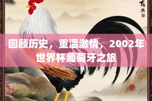 回顾历史，重温激情，2002年世界杯葡萄牙之旅