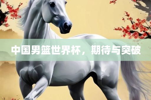 中国男篮世界杯，期待与突破眉山市正发家政服务有限公司