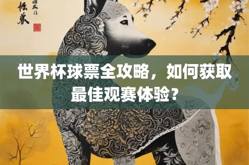 世界杯球票全攻略，如何获取最佳观赛体验？眉山市正发家政服务有限公司