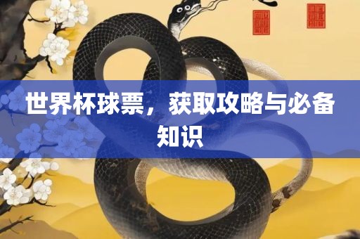 世界杯球票，获取攻略与必备知识眉山市正发家政服务有限公司
