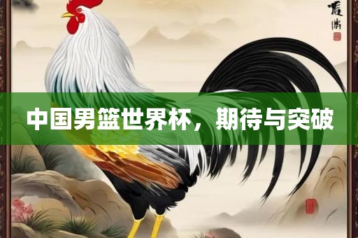 中国眉山市正发家政服务有限公司男篮世界杯，期待与突破