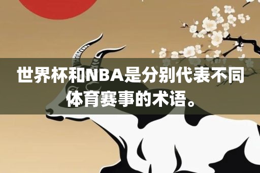世界杯和NBA是分别代表不同体育赛事的术语。