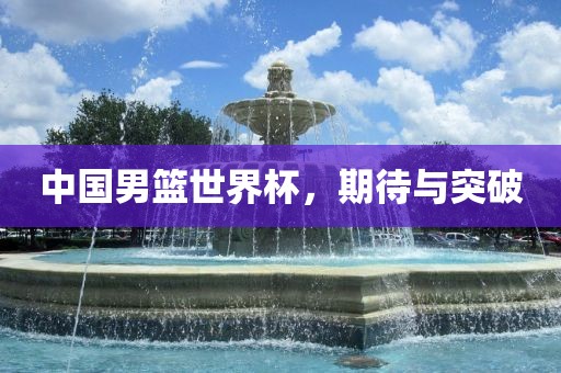 中国男篮世界杯，期待与突破眉山市正发家政服务有限公司