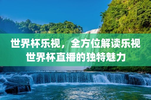 世界杯乐视，全方位解读乐视世界杯直播的独特魅力