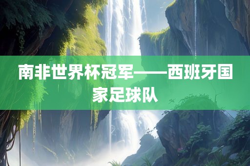 南非世界杯冠军——西班牙眉山市正发家政服务有限公司国家足球队