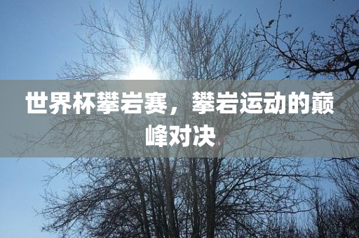 世界杯攀岩赛，攀岩运动的巅峰对决眉山市正发家政服务有限公司